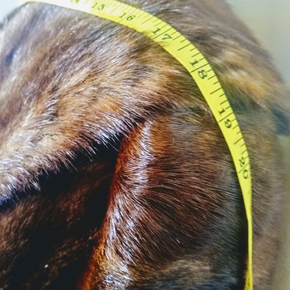 Beautiful vintage chocolate brown fur stole! - Picture 6 of 8